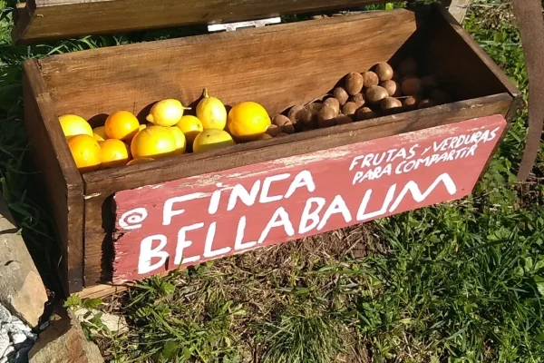 IMG_20240304_163243_639