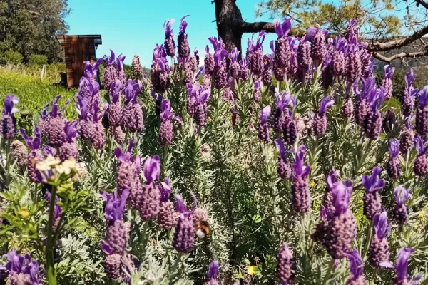 IMG_20240423_115943_083